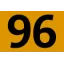 96 96